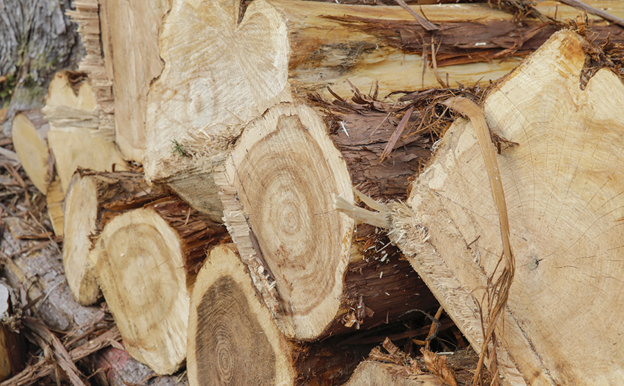 「おおさか材」の活用